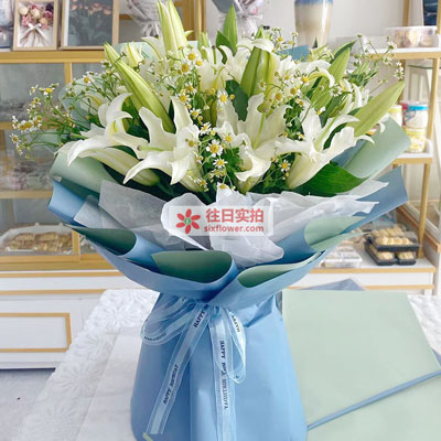 江门8支白色多头百合洋甘菊，互倾的思念