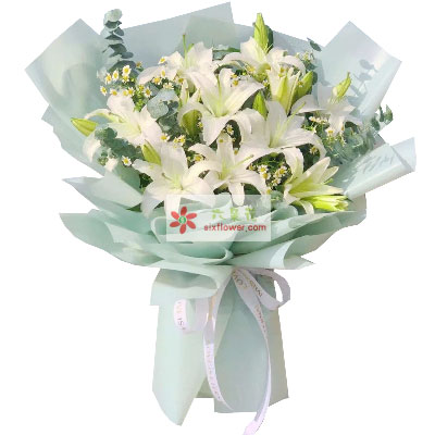 江门6支白色多头百合，温馨的祝福