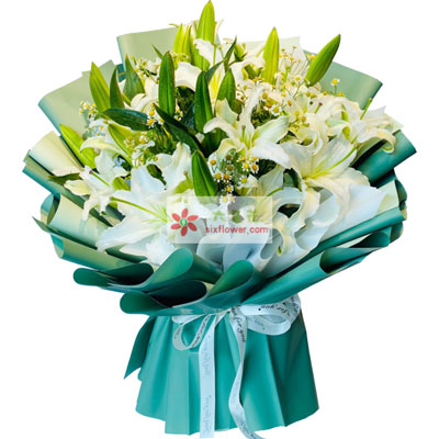 江门8支白色多头百合洋甘菊，如潮的思念
