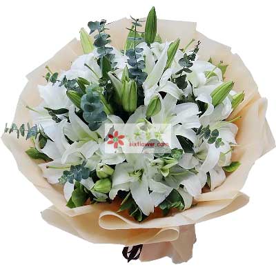 江门9支白色多头百合，祝福你幸福